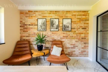 plytki-ceglane-w-nowoczesnym-stylu-od-producenta-ceglana-fantazja